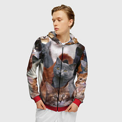 Толстовка 3D на молнии мужская КОТЯТКИ, цвет: 3D-красный — фото 2