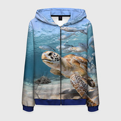 Толстовка 3D на молнии мужская Морская черепаха, цвет: 3D-синий