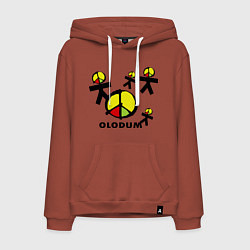 Толстовка-худи хлопковая мужская Olodum, цвет: кирпичный