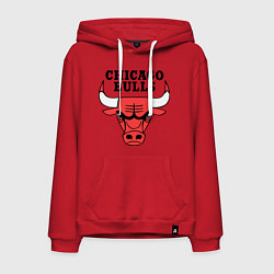 Толстовка-худи хлопковая мужская Chicago Bulls, цвет: красный