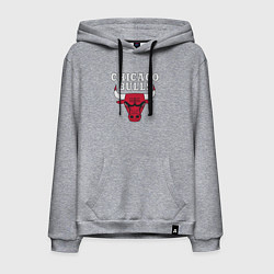 Толстовка-худи хлопковая мужская CHICAGO BULLS, цвет: меланж