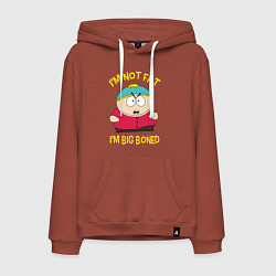 Толстовка-худи хлопковая мужская South Park, Эрик Картман, цвет: кирпичный