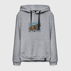 Толстовка-худи хлопковая мужская Бык или Медведь, цвет: меланж