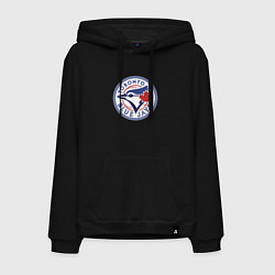 Мужская толстовка-худи Toronto Blue Jays