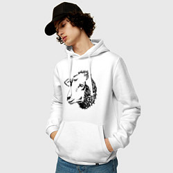Толстовка-худи хлопковая мужская Black and White Sheep, цвет: белый — фото 2