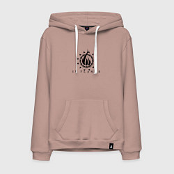 Толстовка-худи хлопковая мужская In flames - rock, цвет: пыльно-розовый
