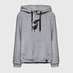 Толстовка-худи хлопковая мужская Медведь в листочке, цвет: меланж