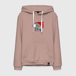 Толстовка-худи хлопковая мужская Игра в снежки - серый котик, цвет: пыльно-розовый