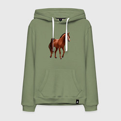 Толстовка-худи хлопковая мужская Тракененская лошадь, цвет: авокадо
