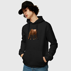 Толстовка-худи хлопковая мужская Датская теплокровная лошадь, цвет: черный — фото 2