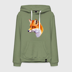 Толстовка-худи хлопковая мужская Лисичка красавица, цвет: авокадо