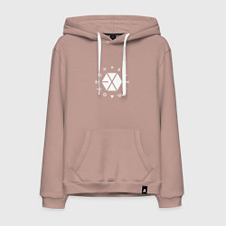 Толстовка-худи хлопковая мужская Logo EXO, цвет: пыльно-розовый