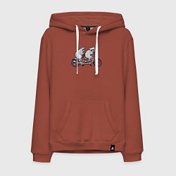 Толстовка-худи хлопковая мужская Енотики на велике, цвет: кирпичный