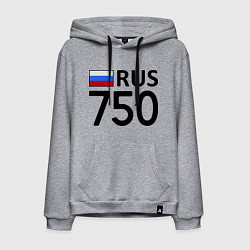 Толстовка-худи хлопковая мужская RUS 750, цвет: меланж
