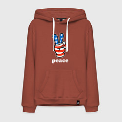 Мужская толстовка-худи USA peace