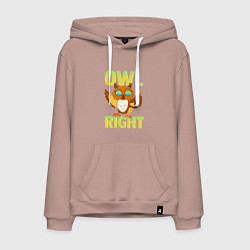 Мужская толстовка-худи Owl right - каламбур отлично