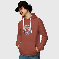 Толстовка-худи хлопковая мужская Красочная совушка, цвет: кирпичный — фото 2