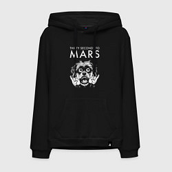 Мужская толстовка-худи Thirty Seconds to Mars rock dog