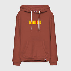 Мужская толстовка-худи Twenty one pilots - color logo