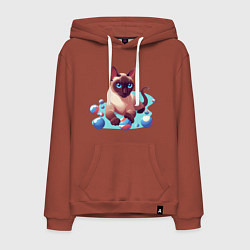 Толстовка-худи хлопковая мужская Синеглазый кот, цвет: кирпичный