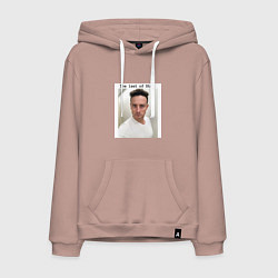 Толстовка-худи хлопковая мужская The last of Stas meme, цвет: пыльно-розовый