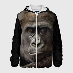 Куртка с капюшоном мужская Глаза гориллы, цвет: 3D-белый