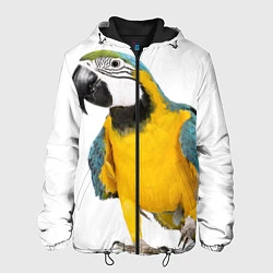 Мужская куртка Попугай ара