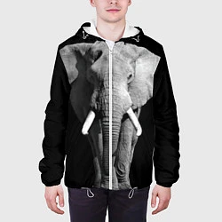 Куртка с капюшоном мужская Старый слон, цвет: 3D-белый — фото 2