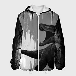 Мужская куртка Пещера динозавра