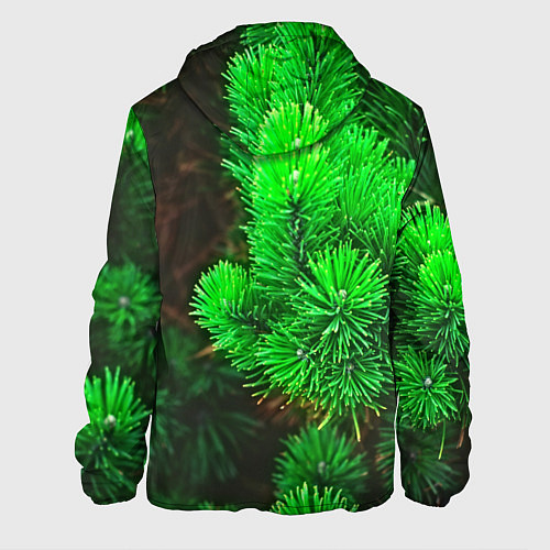 Мужская куртка Зелёная ель / 3D-Белый – фото 2