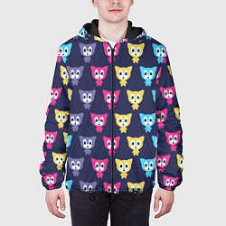 Куртка с капюшоном мужская Разноцветные котята, цвет: 3D-черный — фото 2