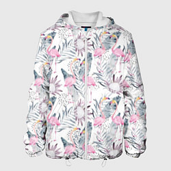 Мужская куртка Тропические фламинго