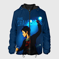 Куртка с капюшоном мужская The Cranberries, цвет: 3D-черный