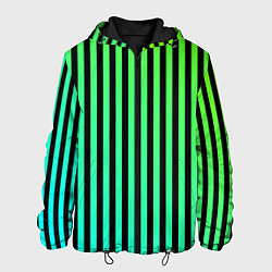Куртка с капюшоном мужская Пикси полосы, цвет: 3D-черный