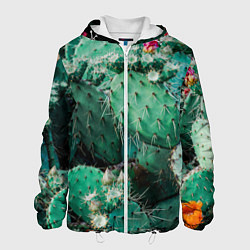 Куртка с капюшоном мужская Кактусы с цветами реализм, цвет: 3D-белый