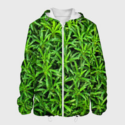 Куртка с капюшоном мужская Растения, цвет: 3D-белый