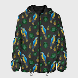 Куртка с капюшоном мужская Попугай Ара, цвет: 3D-черный