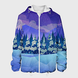 Куртка с капюшоном мужская Зимний лес, цвет: 3D-белый