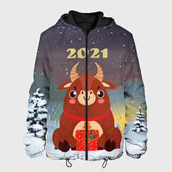Куртка с капюшоном мужская Бык с подарками 2021, цвет: 3D-черный