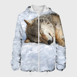 Мужская куртка Спящий Волк
