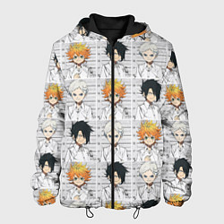 Куртка с капюшоном мужская Обещанный Неверленд, цвет: 3D-черный