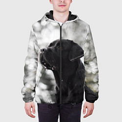 Куртка с капюшоном мужская Лабрадор Марк, цвет: 3D-черный — фото 2