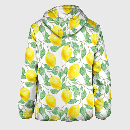 Мужская куртка Лимоны 3d / 3D-Белый – фото 2