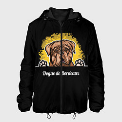 Куртка с капюшоном мужская Бордоский Дог Dogue de bordeaux, цвет: 3D-черный