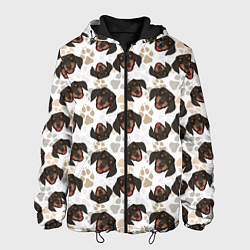 Куртка с капюшоном мужская Такса Dachshund Dog, цвет: 3D-черный