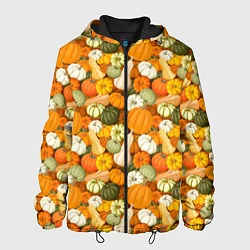 Куртка с капюшоном мужская Тыквы Pumpkin, цвет: 3D-черный