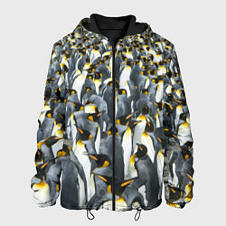 Мужская куртка Пингвины Penguins