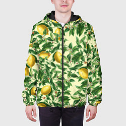 Куртка с капюшоном мужская Лимоны На Ветках, цвет: 3D-черный — фото 2