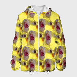 Куртка с капюшоном мужская Попугай Корелла Орёт Мем, цвет: 3D-белый