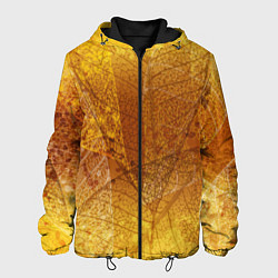 Куртка с капюшоном мужская Осенний узор, цвет: 3D-черный